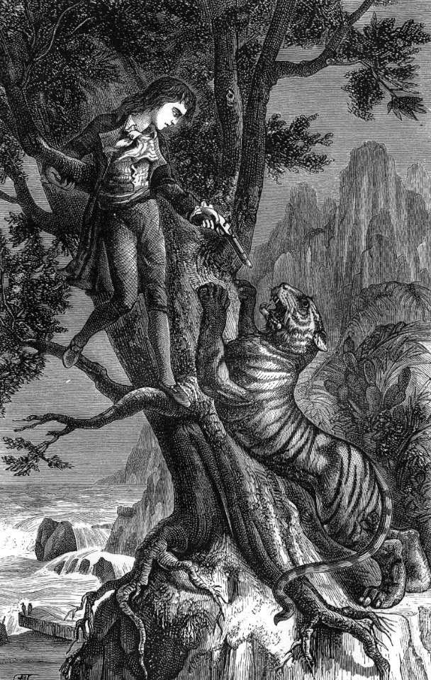 Attacking Tiger