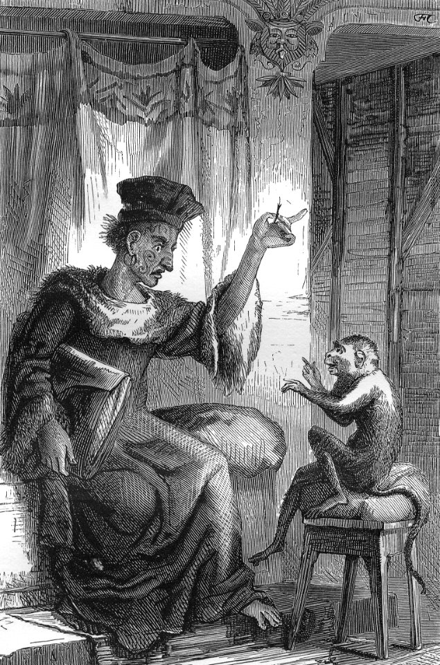 Great Judge and Little Monkey