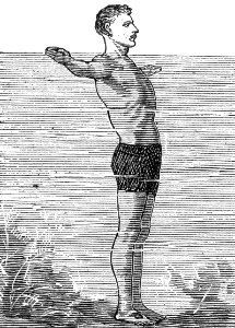 Breaststroke (3)