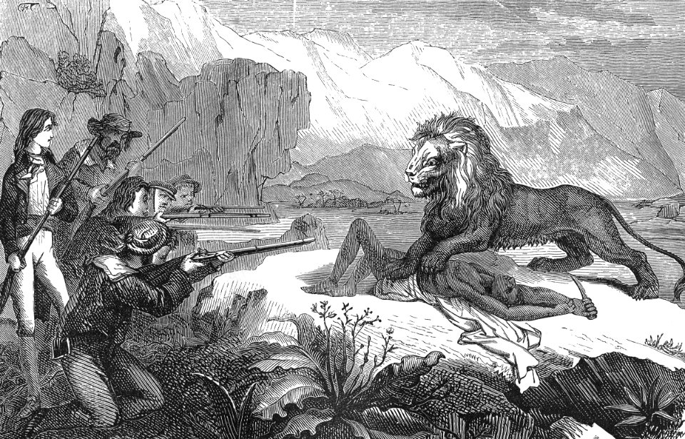 Furious Lion