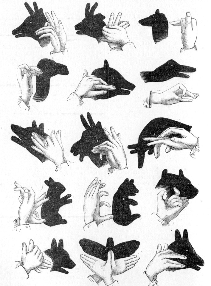 Hand Shadow Puppetry