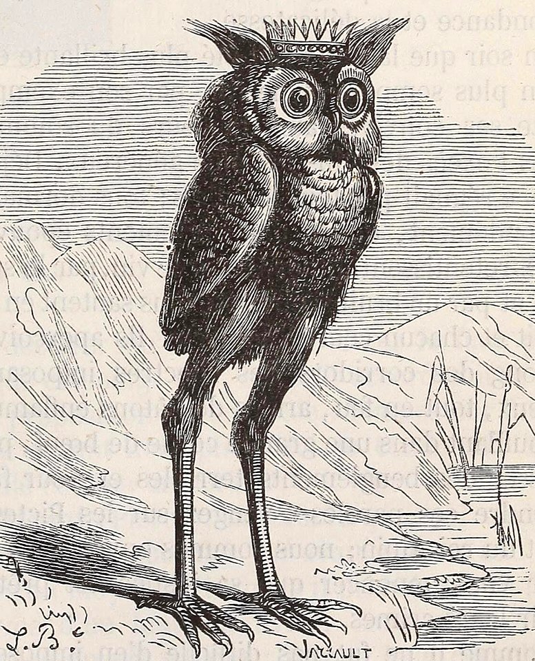 Stolas