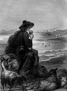 The Shepherd and the Sea