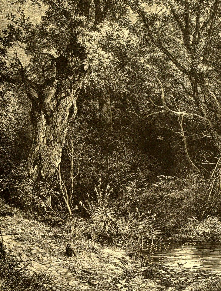 Brookside