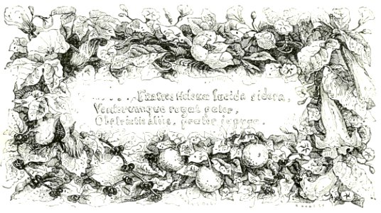 Fratres Helenae