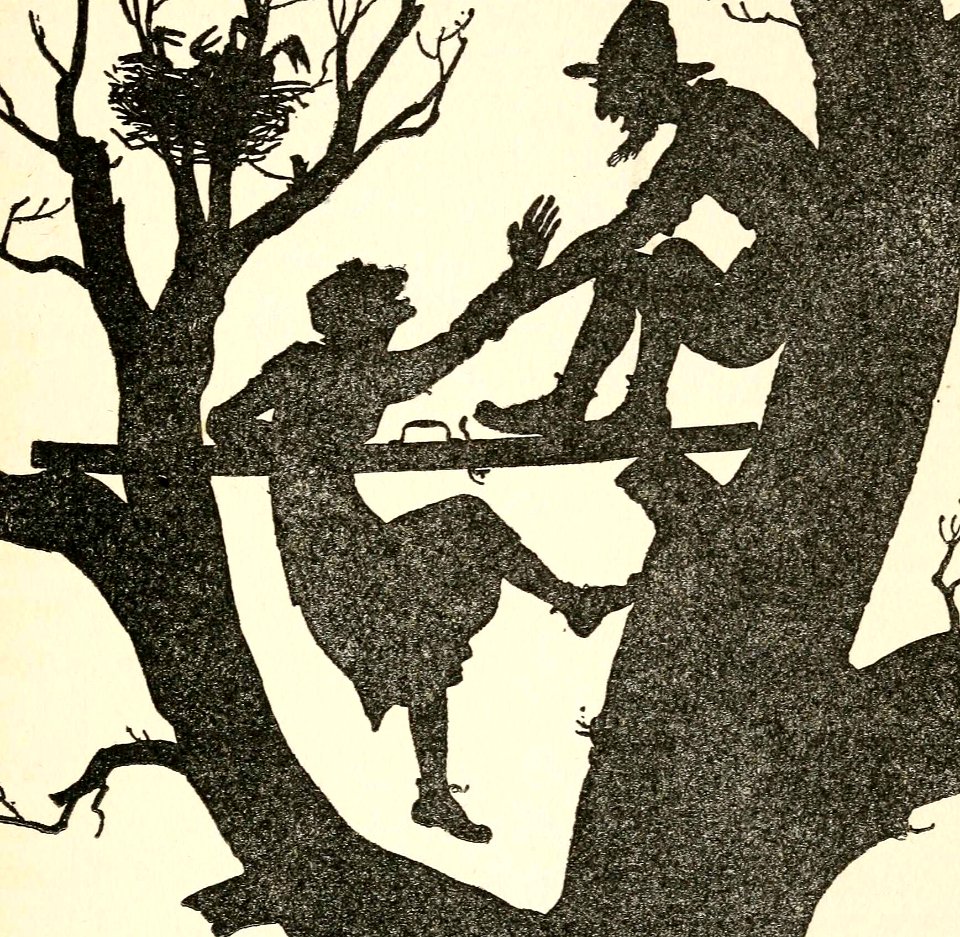 Up the Tree