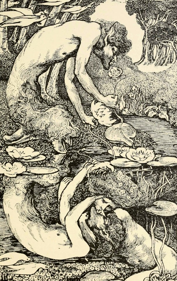 Reflected Faun