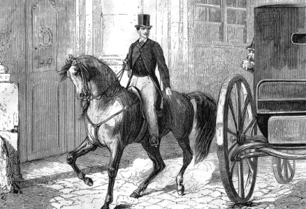 Horse Riding in the Street