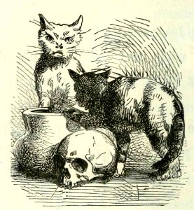 Tailpiece with Scowling Cat