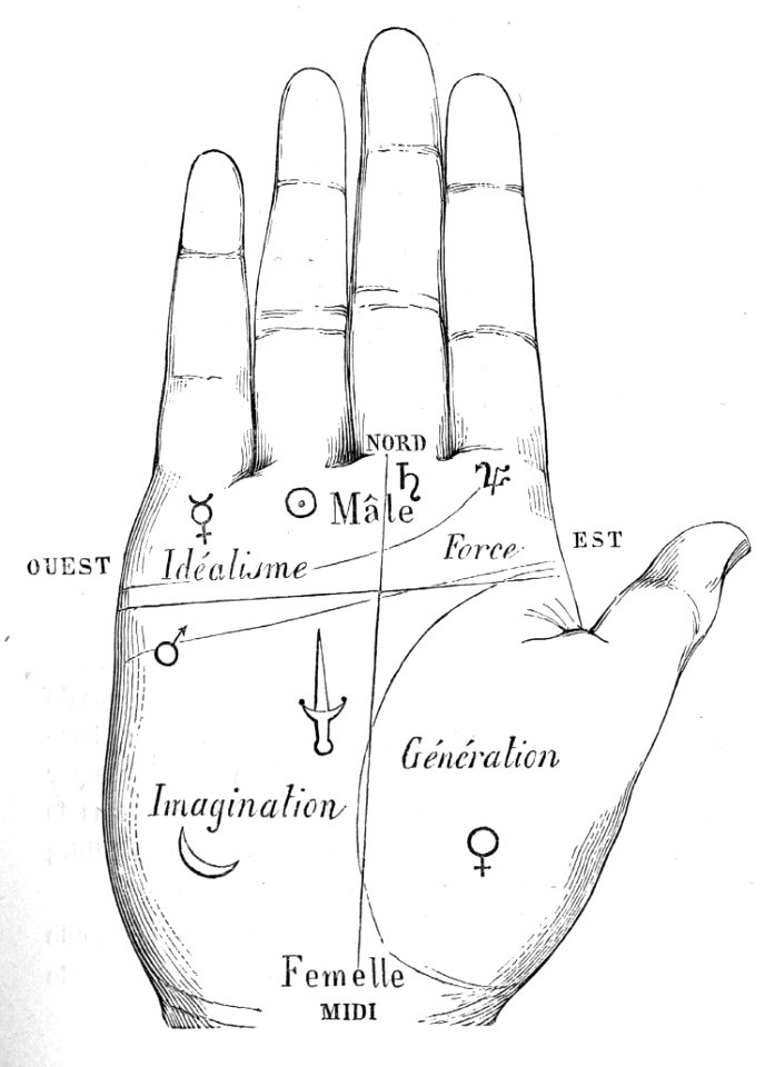 Palmistry, Division of the Hand