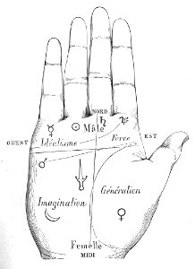 Palmistry, Division of the Hand. Free illustration for personal and commercial use.