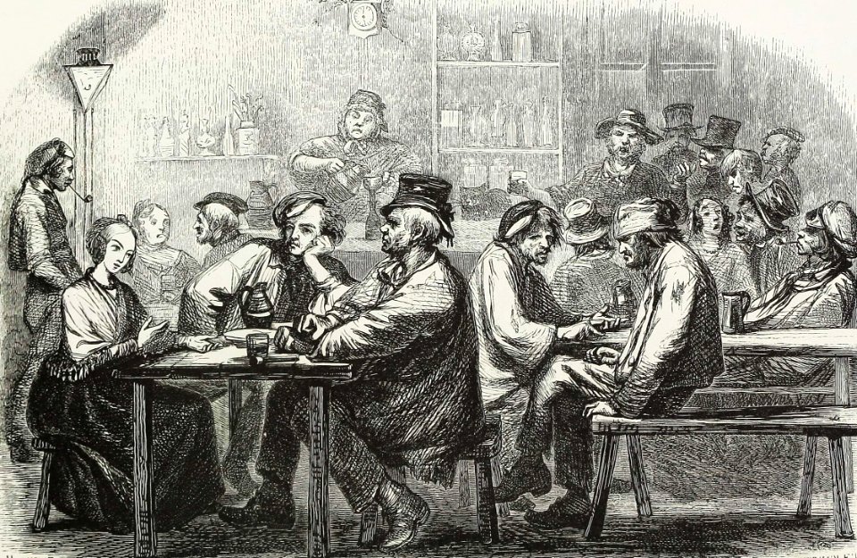 Shady Inn