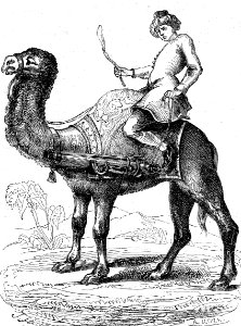 Turkish Gunner in 1690