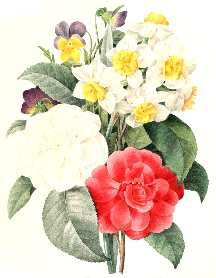 Bunch of Flowers