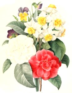 Bunch of Flowers