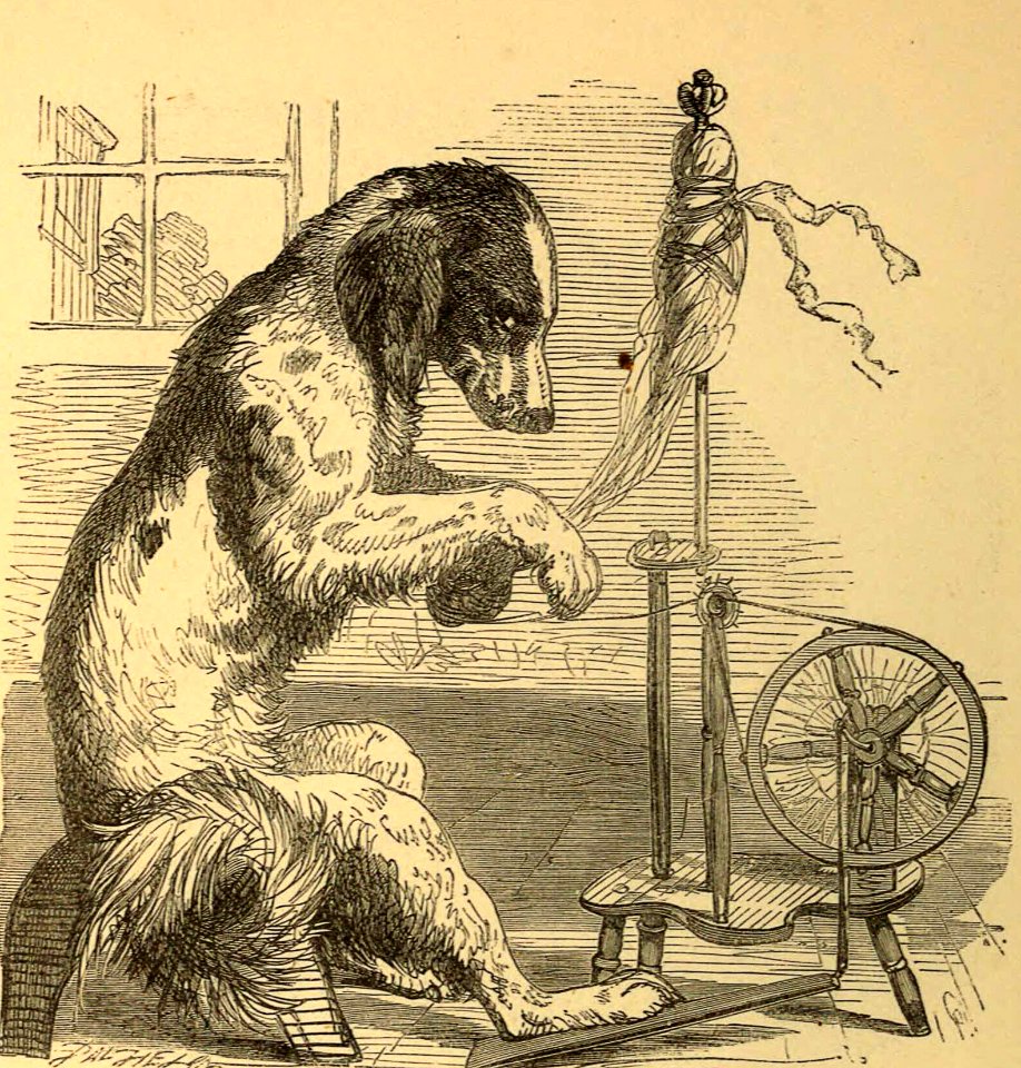 The Dog Was A-Spinning