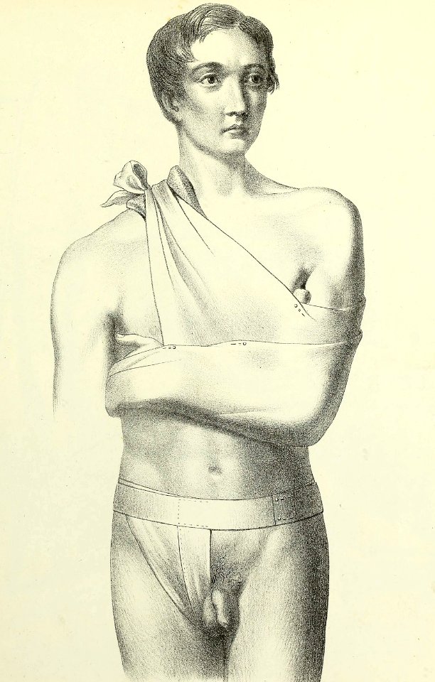 Clavicle and Inguinal Bandages
