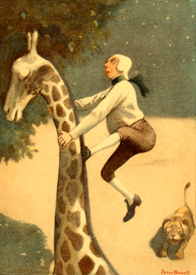 I Reached the Giraffe