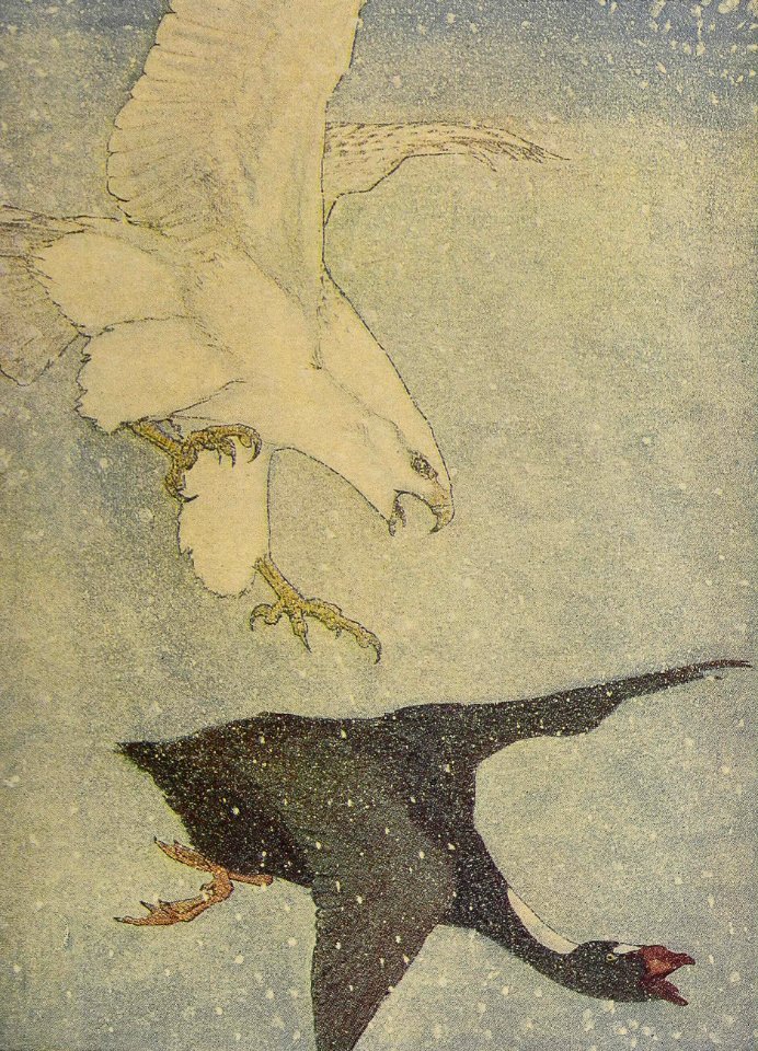 Noiseless Wings behind Him