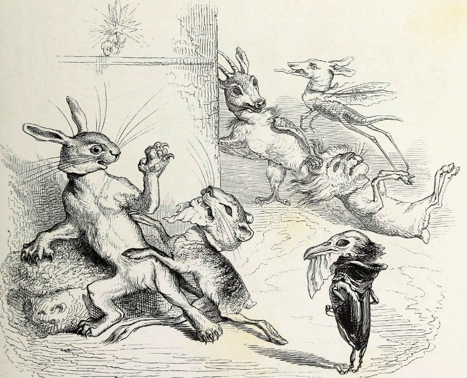 A Frenzied Hare