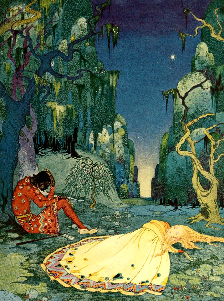 The Night in the Forest