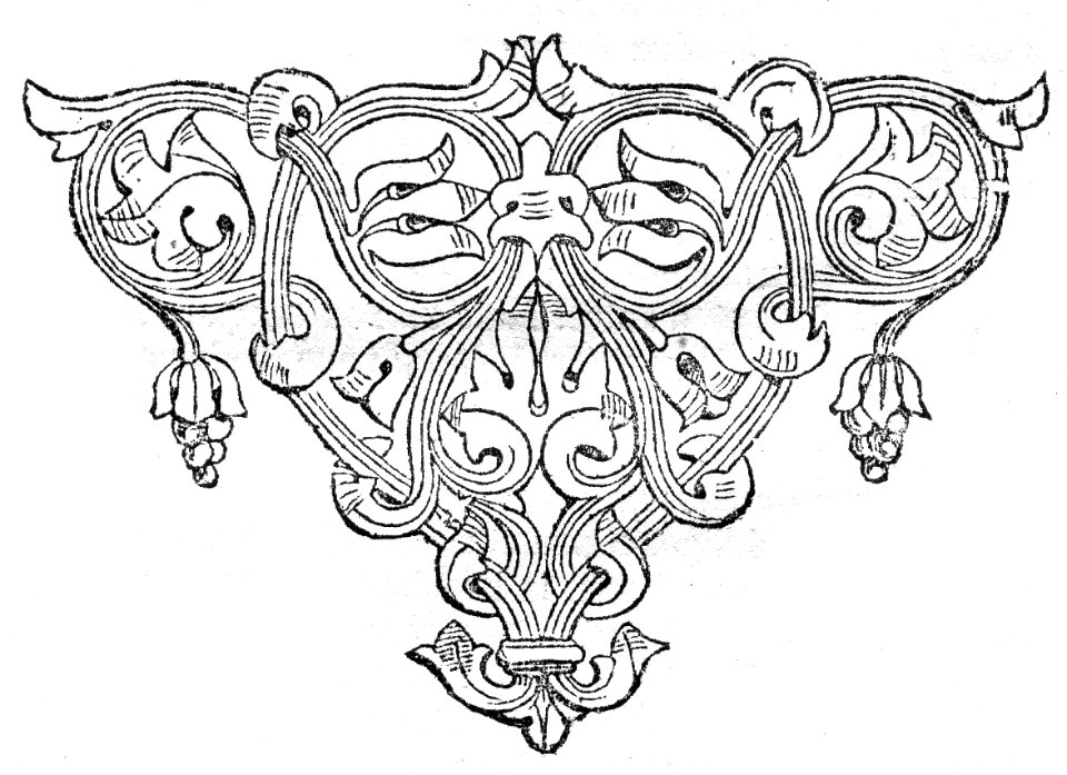 Tailpiece (10)