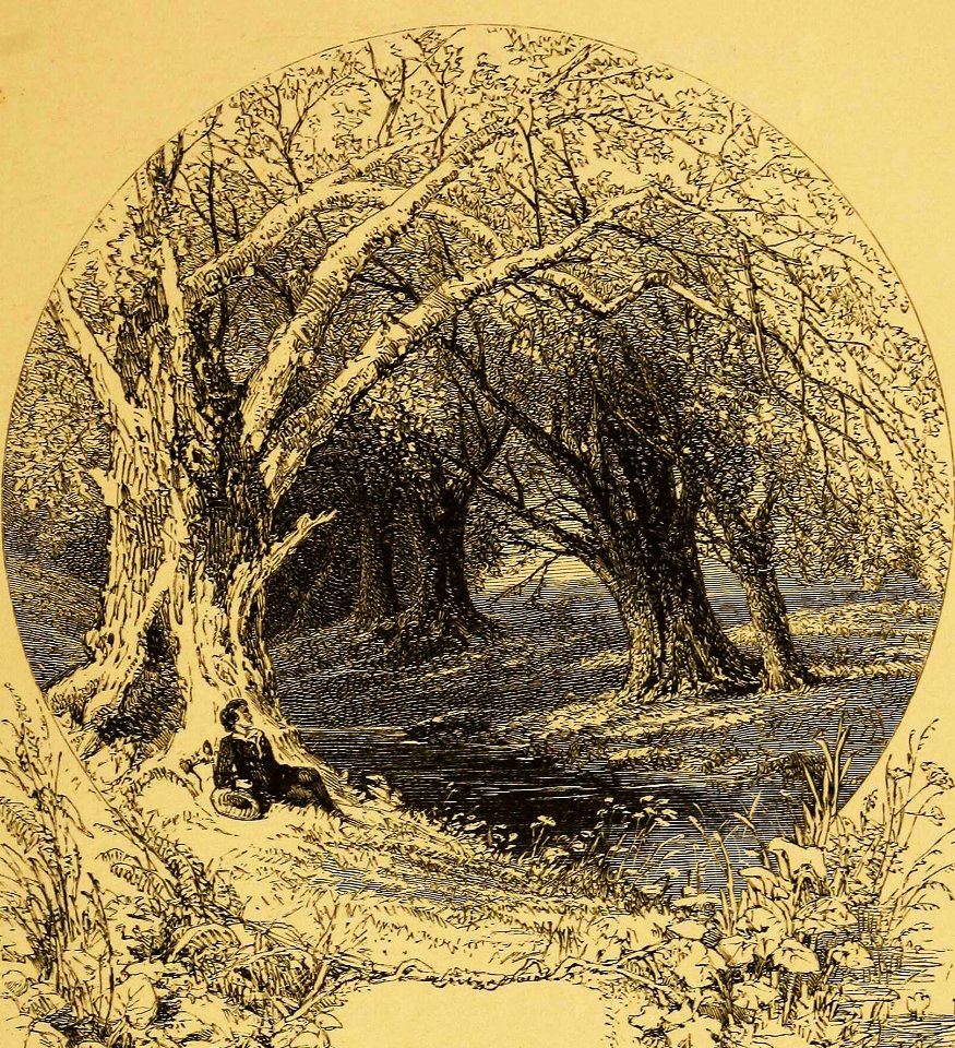 Patriarchal Tree