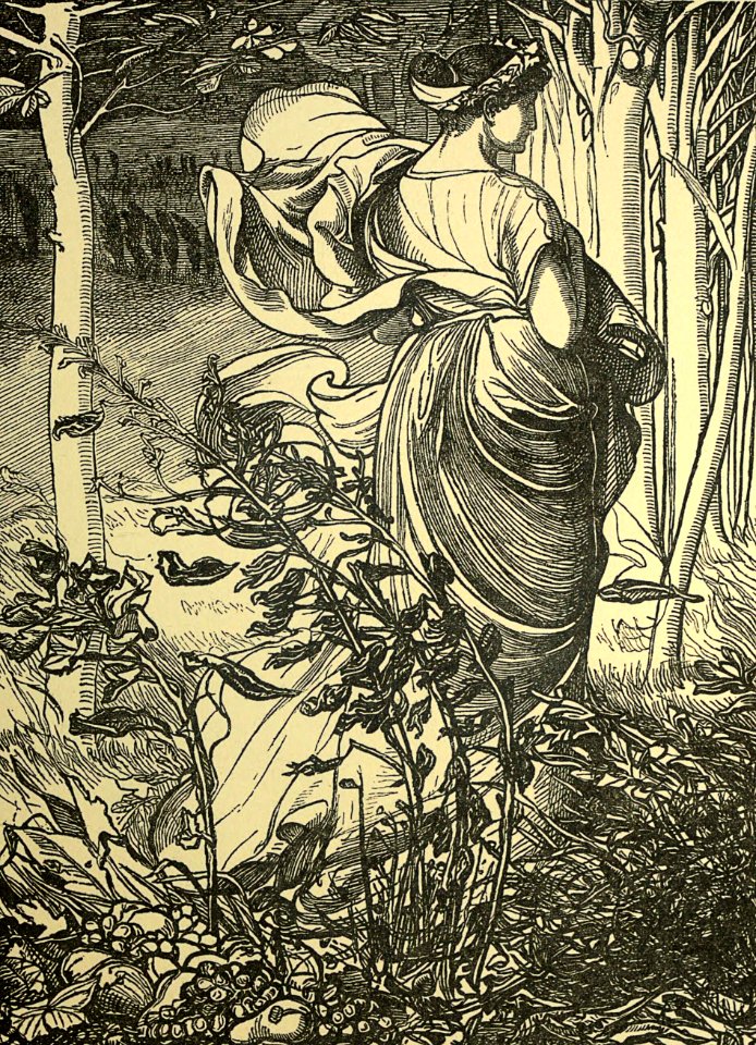 The Advent of Winter