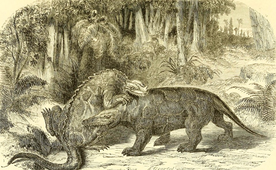Iguanodon and Megalosaurus