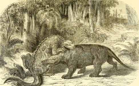 Iguanodon and Megalosaurus