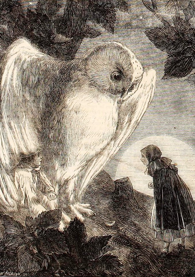 Giant Owl