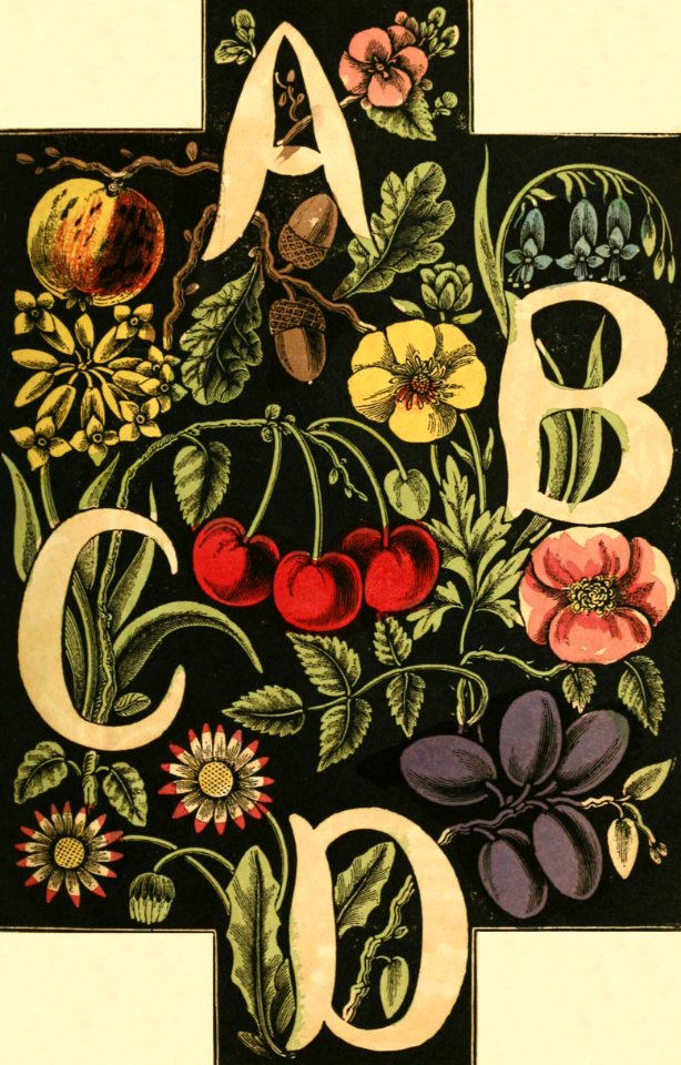 Alphabet of Flowers and Fruit—A, B, C, D. Free illustration for personal and commercial use.