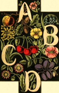 Alphabet of Flowers and Fruit—A, B, C, D