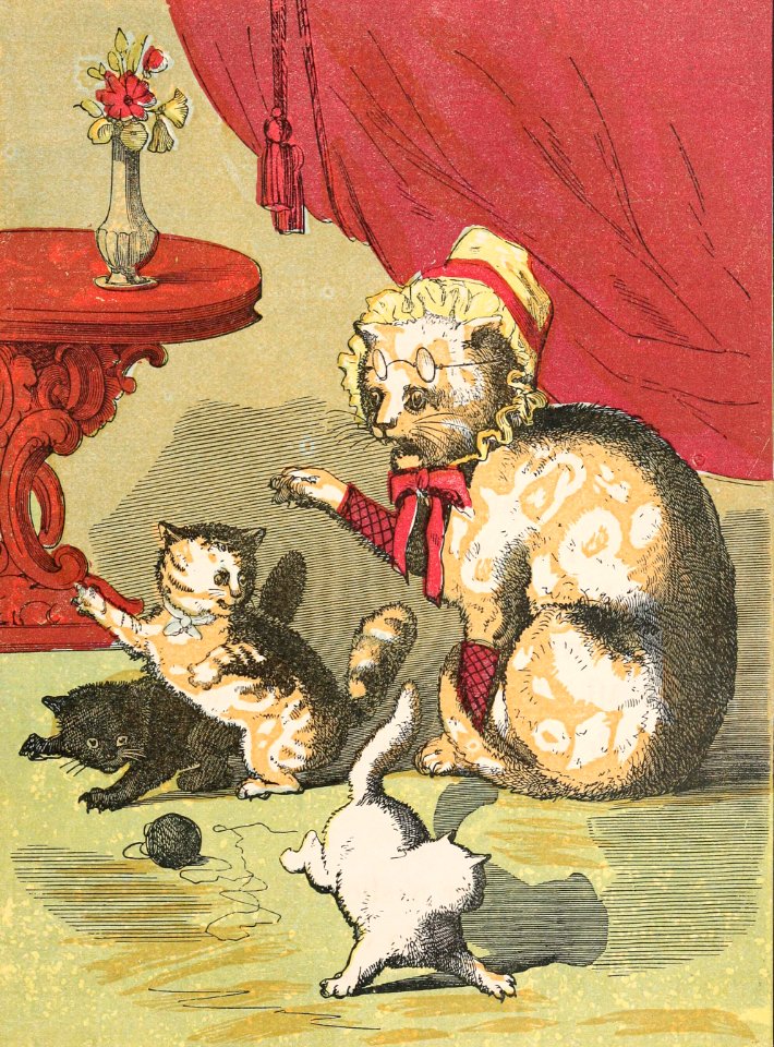 Kittens Are Scolded
