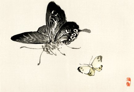 Butterflies by Kōno Bairei (1844-1895). Digitally enhanced from our own original 1913 edition of Bairei Gakan.. Free illustration for personal and commercial use.