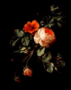 Still Life with Roses by Elias van den Broeck (1670-1708).. Free illustration for personal and commercial use.