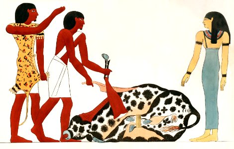Plate 13 : Sacrifice of the Bull by Giovanni Battista Belzoni (1778-1823) from Plates illustrative of the researches and operations in Egypt and Nubia (1820).. Free illustration for personal and commercial use.