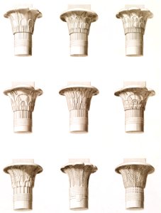 Various shape of capital from Histoire de l'art égyptien (1878) by Émile Prisse d'Avennes.