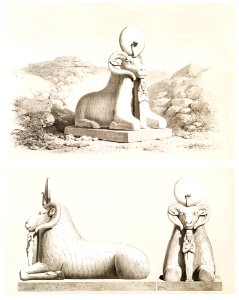 Rams from Histoire de l'art égyptien (1878) by Émile Prisse d'Avennes.. Free illustration for personal and commercial use.