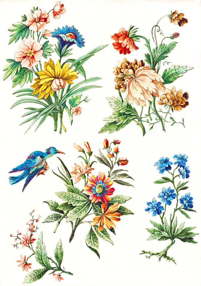 Floral Designs with a Blue Bird (ca. 1773) by Giacomo Cavenezia.
