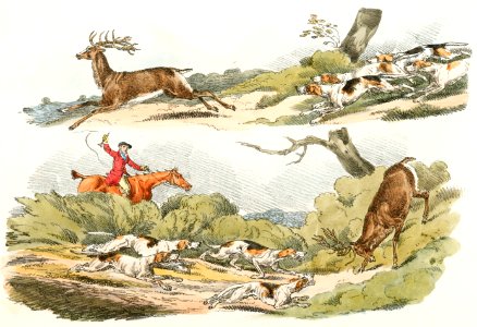 Illustration of a hunter with dogs chasing a stag from the vintage book Sporting Sketches (1817-1818) by Henry Alken (1784-1851).