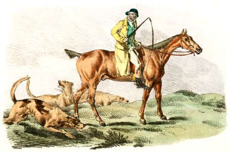 Illustration of mounted hunter with three hounds running behind from Sporting Sketches (1817-1818) by Henry Alken (1784-1851).. Free illustration for personal and commercial use.