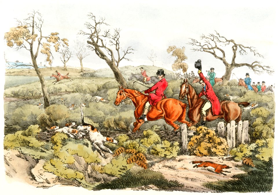 Illustration of fox hunting from Sporting Sketches (1817-1818) by Henry Alken (1784-1851).. Free illustration for personal and commercial use.
