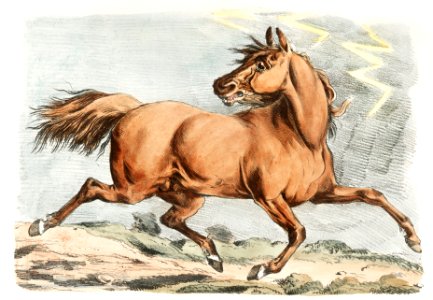 Illustration of a brown horse running from Sporting Sketches (1817-1818) by Henry Alken (1784-1851).