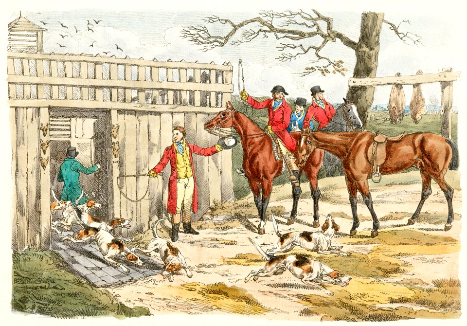 Illustration of releasing the dogs for hunting from Sporting Sketches (1817-1818) by Henry Alken (1784-1851).
