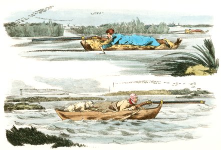Illustration of duck flowing from Sporting Sketches (1817-1818) by Henry Alken (1784-1851).