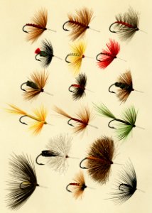 Hackles from Favorite Flies and Their Histories by Mary Orvis Marbury. Digitally enhanced from our own original 1892 Edition.. Free illustration for personal and commercial use.