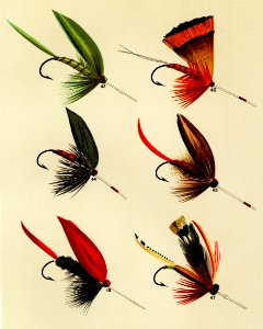 Lake Flies from Favorite Flies and Their Histories by Mary Orvis Marbury. Digitally enhanced from our own original 1892 Edition.. Free illustration for personal and commercial use.