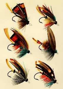 Salmon Flies from Favorite Flies and Their Histories by Mary Orvis Marbury. Digitally enhanced from our own original 1892 Edition.