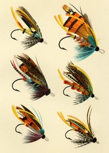 Salmon Flies from Favorite Flies and Their Histories by Mary Orvis Marbury. Digitally enhanced from our own original 1892 Edition.. Free illustration for personal and commercial use.